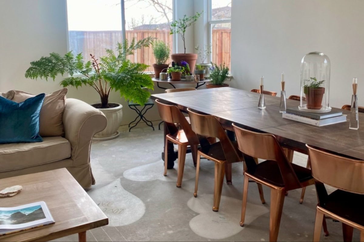 livingroom with plants in it.