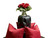 Buttoned tufted leather sofa 
